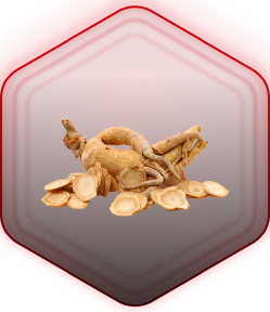 True Ginseng